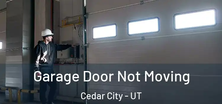  Garage Door Not Moving Cedar City - UT