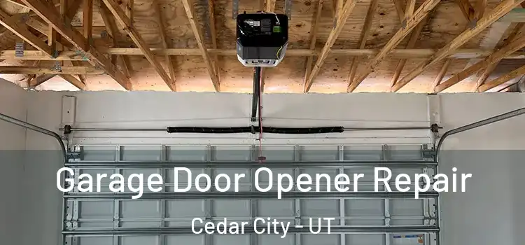  Garage Door Opener Repair Cedar City - UT