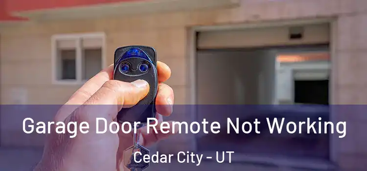 Garage Door Remote Not Working Cedar City - UT
