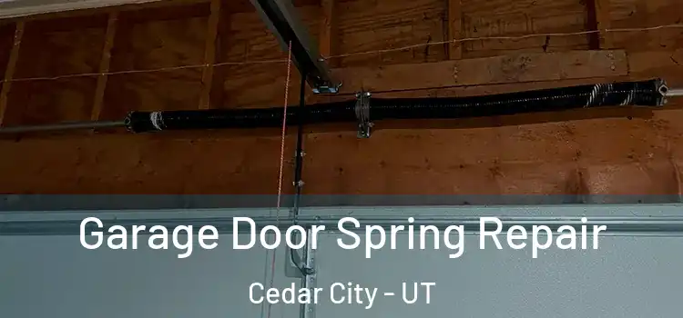  Garage Door Spring Repair Cedar City - UT