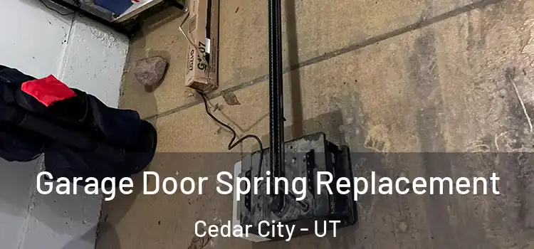 Garage Door Spring Replacement Cedar City - UT