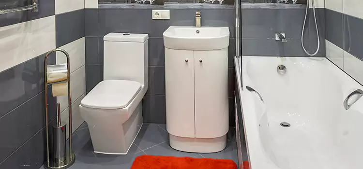 Hansgrohe Shaving Mirror Cedar City
