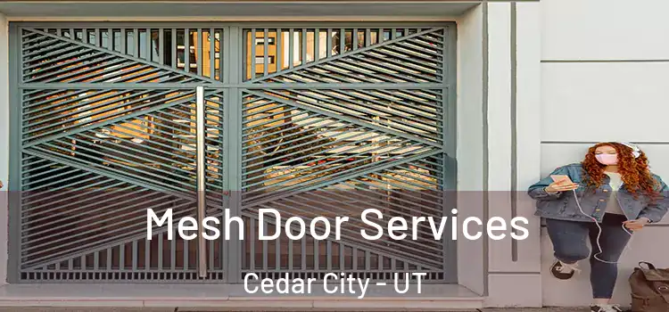 Mesh Door Services Cedar City - UT